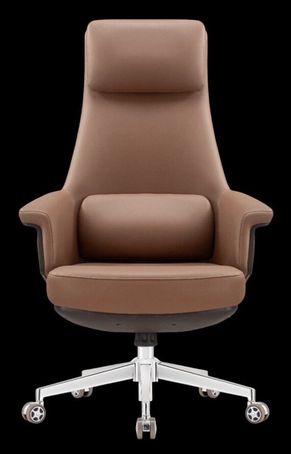 Carnival Chair